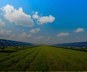 Renewable Energy section (1)